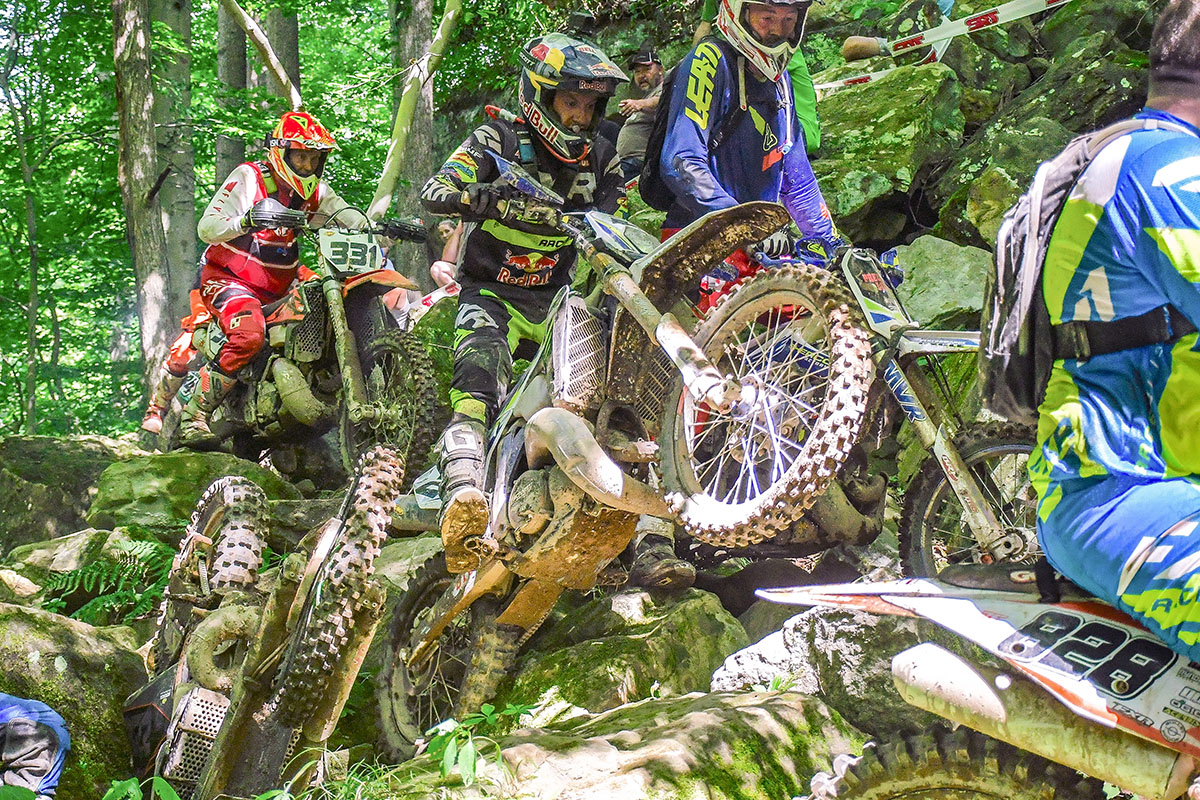 cody_webb_sherco_bad_medicine_2020_560